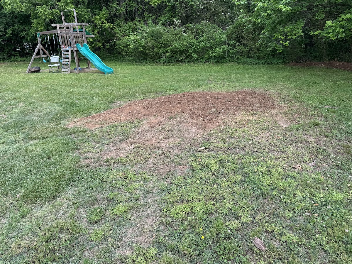 A ground-out stump site in a backyard, level with the lawn