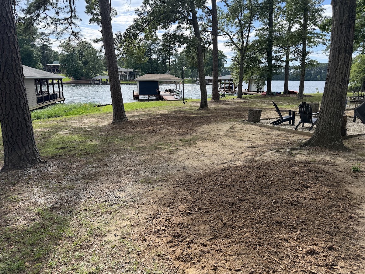 Freshly ground stump sites on a lakefront lot