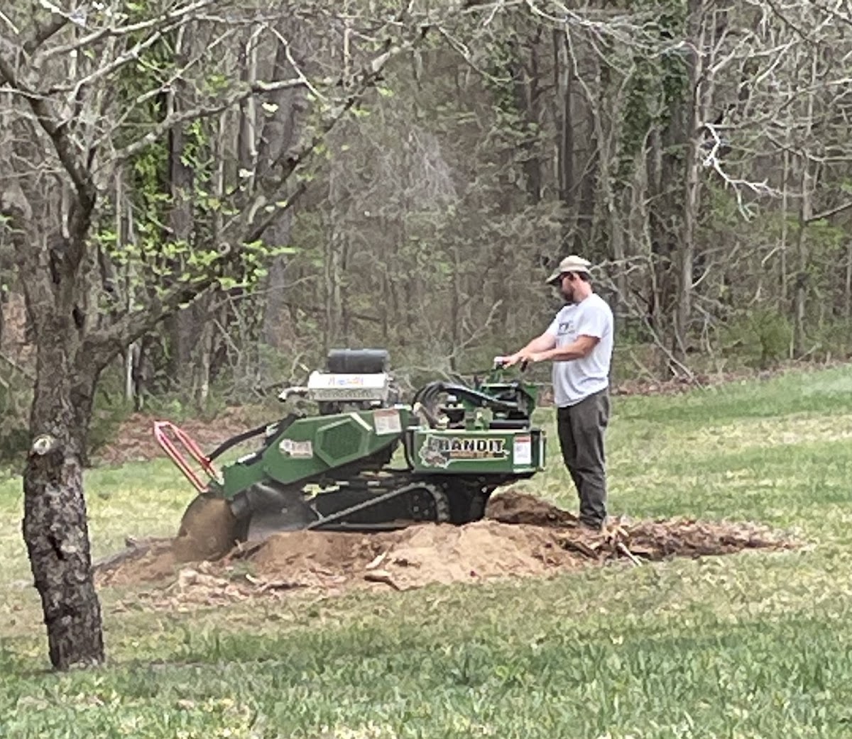 Turner Wall grinding a stump in a wooded yard