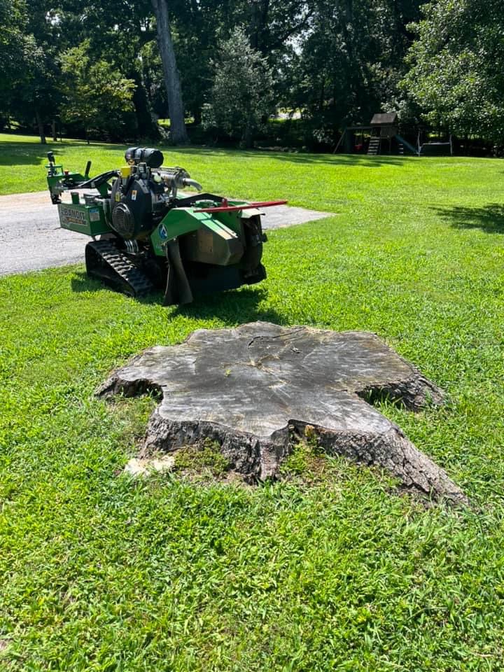 A tracked grinder parked next to a wide stump on a green lawn